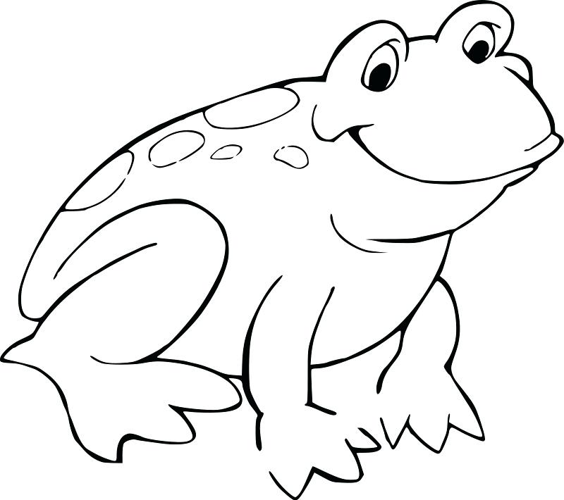 800x710 Tadpole Coloring Page Frog Coloring Pages For Adults Coloring