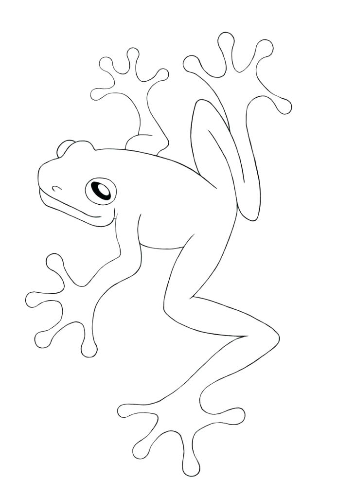 695x1024 Frog Life Cycle Coloring Page Synthesis.site