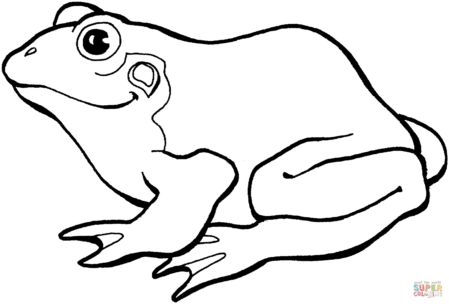 1500x1016 Frog 8 Coloring Page Free Printable Coloring Pages