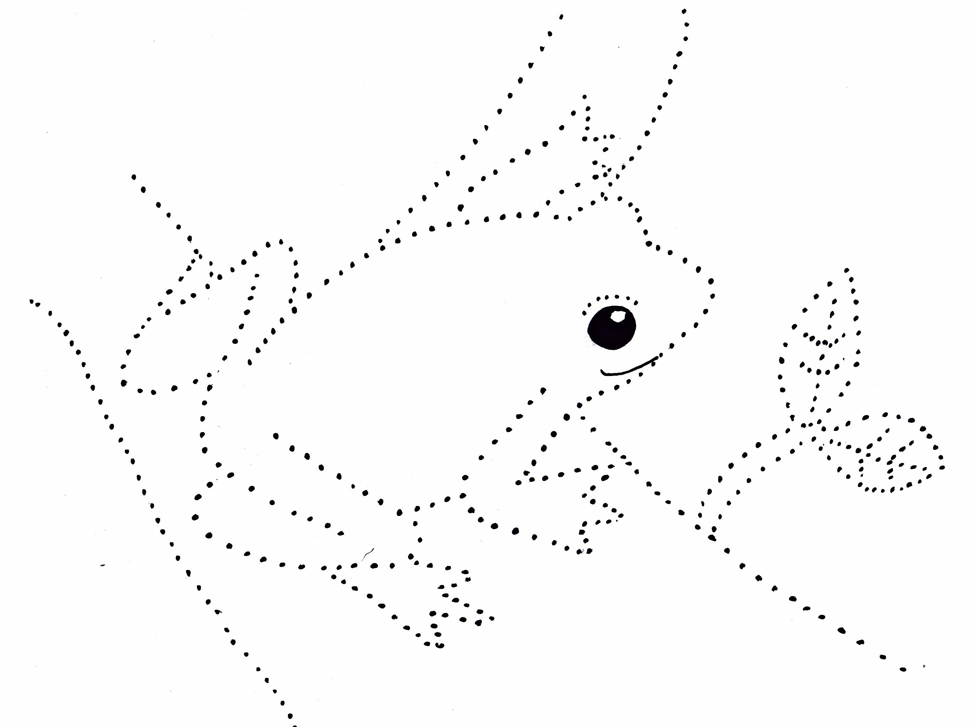 3234x2411 Images Of Frog Line Drawing