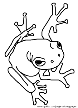 250x345 Poison Dart Frog Clipart Black And White