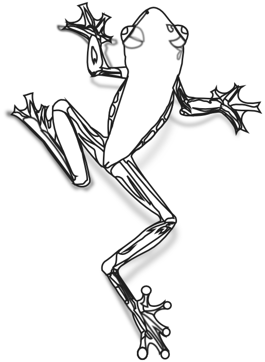 515x703 Tree Frog Line Art