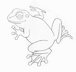 257x242 Rubber Stamps Amp Line Drawings