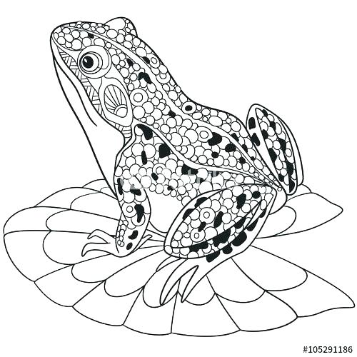 500x500 Frog Coloring Pages F Is For Frog Coloring Page Cartoon Frog
