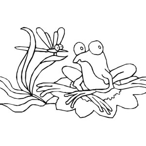 300x300 Lily Pad And Frog Coloring Page Color Luna