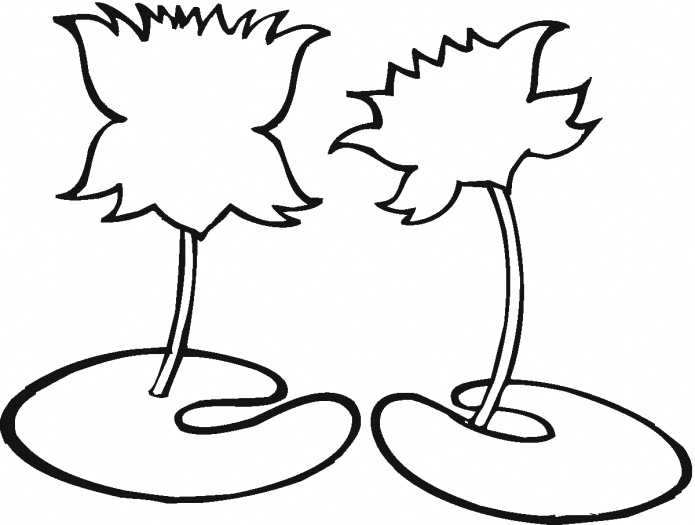 695x525 New How To Draw A Frog On A Lily Pad Draw