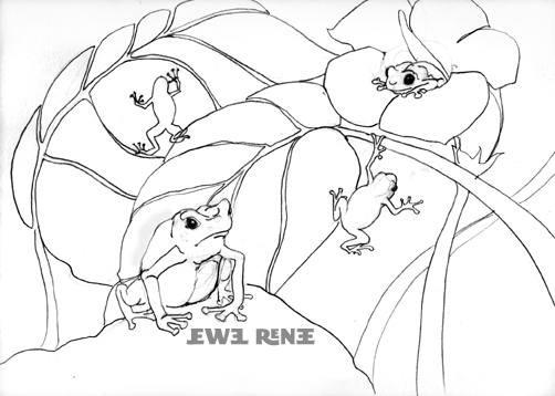 502x358 Jewel Renee Illustration Poison Dart Frog Pencil Drawing