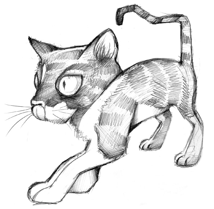 750x733 Pencil Drawings By Adam Strange