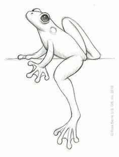 236x311 Pin By Ellen Bounds On Sketches Of Frogs Frogs