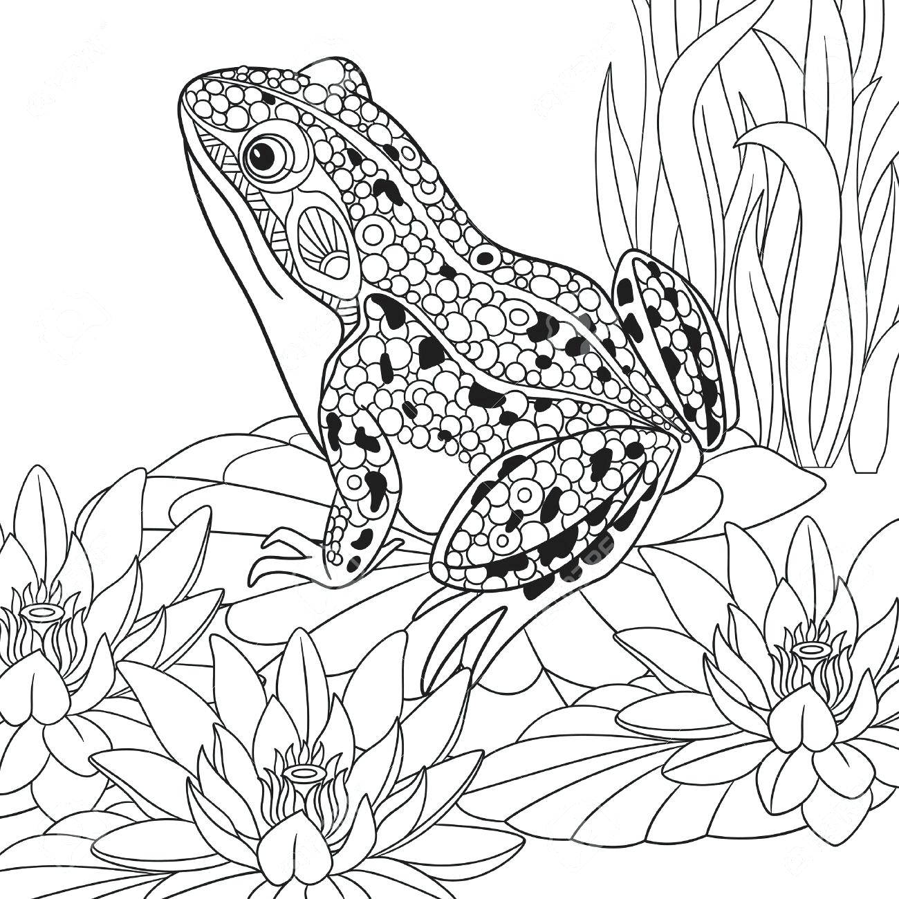 1300x1300 Coloring Pictures Of Lotus Flowers For Coloring Flower Pencil