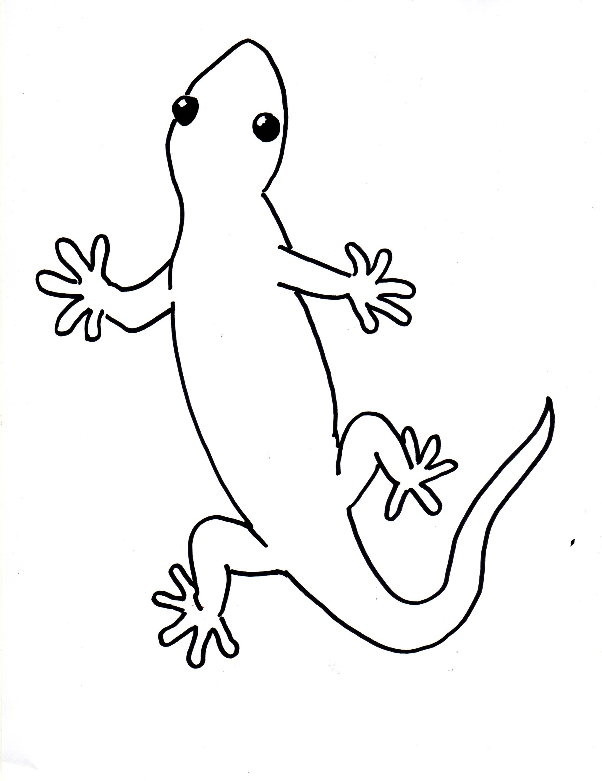 2036x2639 Draw A Gecko Step By Step