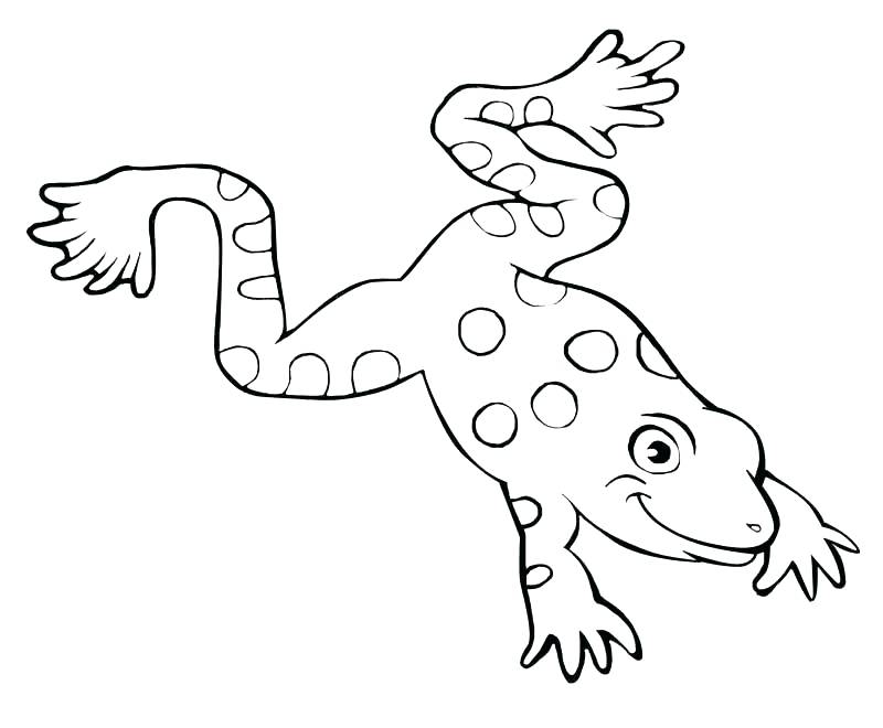 800x660 Coloring Page Frog Hand Drawn Frog For Coloring Book For Adult