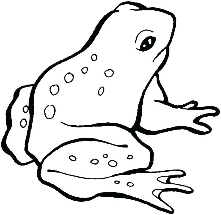 Frogs Drawing For Kids at GetDrawings | Free download