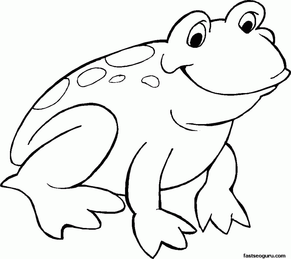 940x835 Outline Of Frog