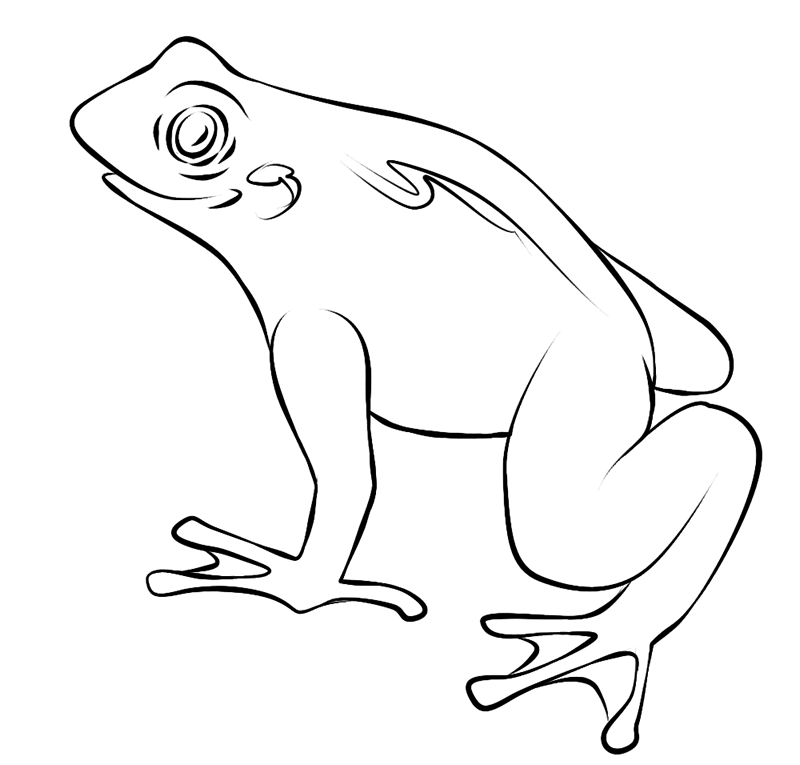 800x765 Printable Frog Pictures Many Interesting Cliparts