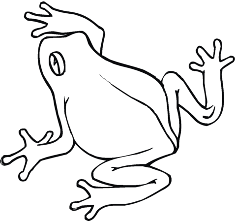 480x449 Frog 21 Coloring Page Mosaics Frogs, Printable