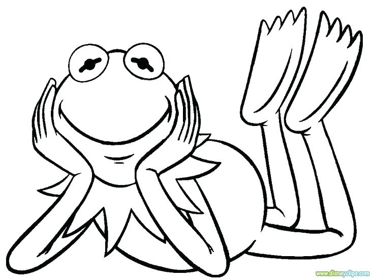 736x551 Frog Coloring Book Together With Coloring Pictures Of Frogs Frog