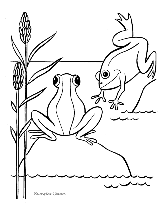 670x820 Frog Coloring Pages