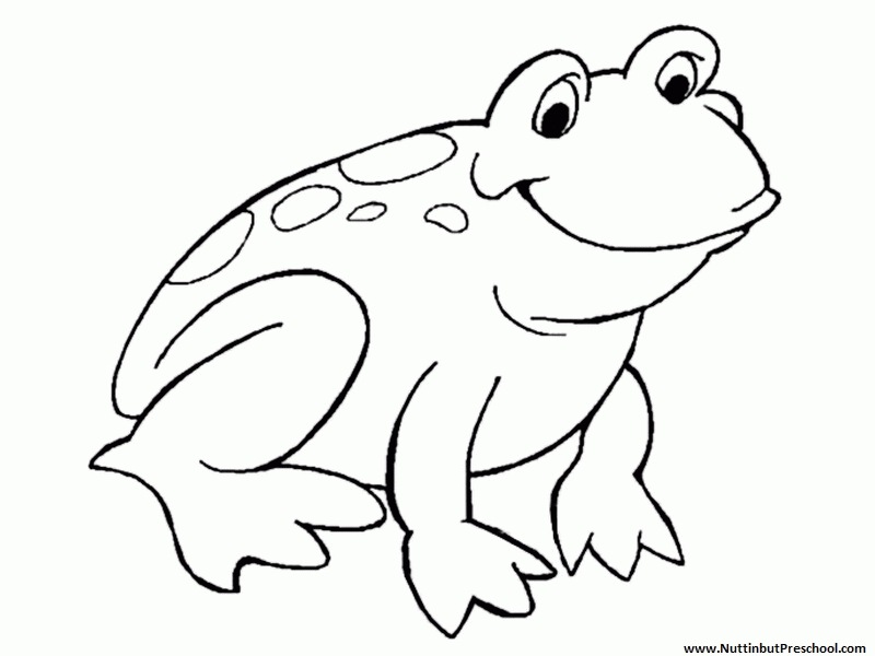 800x600 Printable Frog Pictures Many Interesting Cliparts