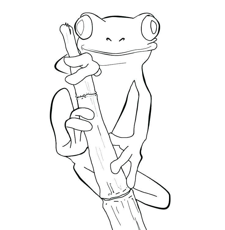 736x753 Coloring Pages Draw A Frog For Kids
