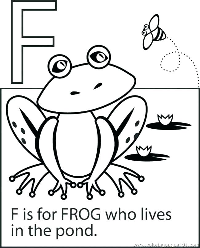 650x806 Stunning Tree Frog Coloring Page Print Pages Best Template Ideas