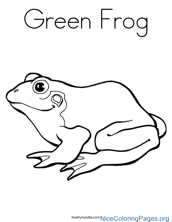685x886 How To Draw A Frog Step By Step
