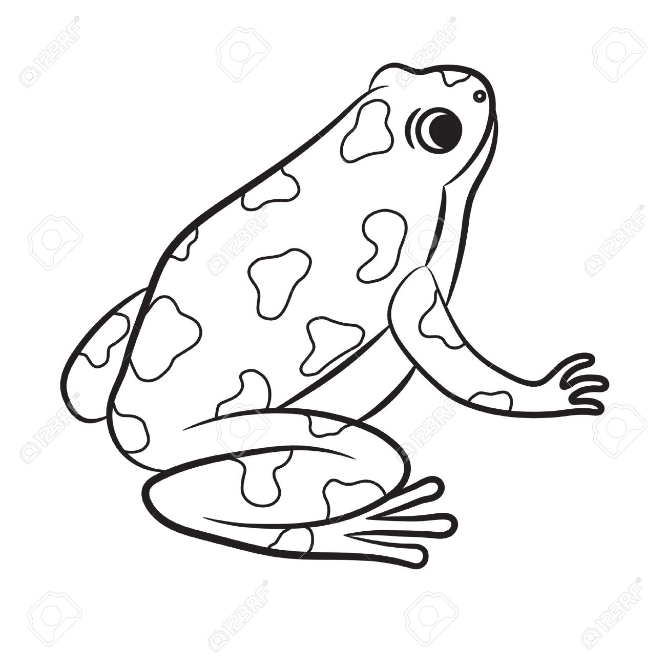 1300x1300 Outlined Poison Dart Frog. Vector Royalty Free Cliparts, Vectors