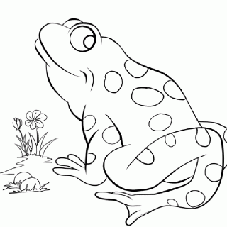 320x320 Tag For Frog Kids Drawing 111 Learn How To Draw A Frog For Kids