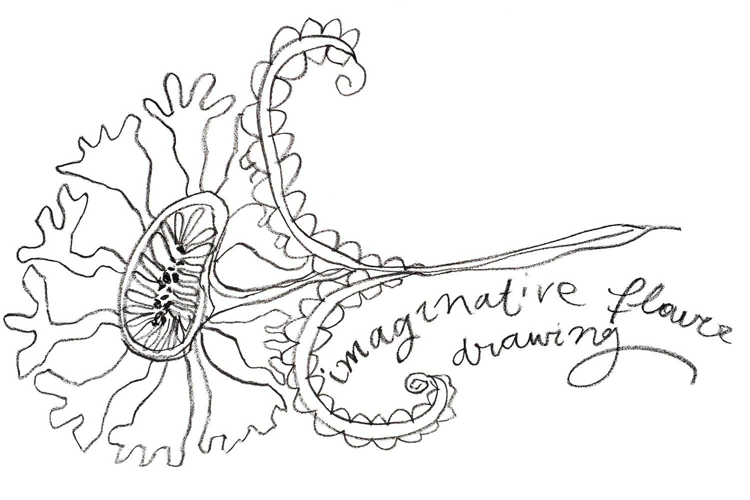 1500x1001 How To Draw A Flower From Your Imagination