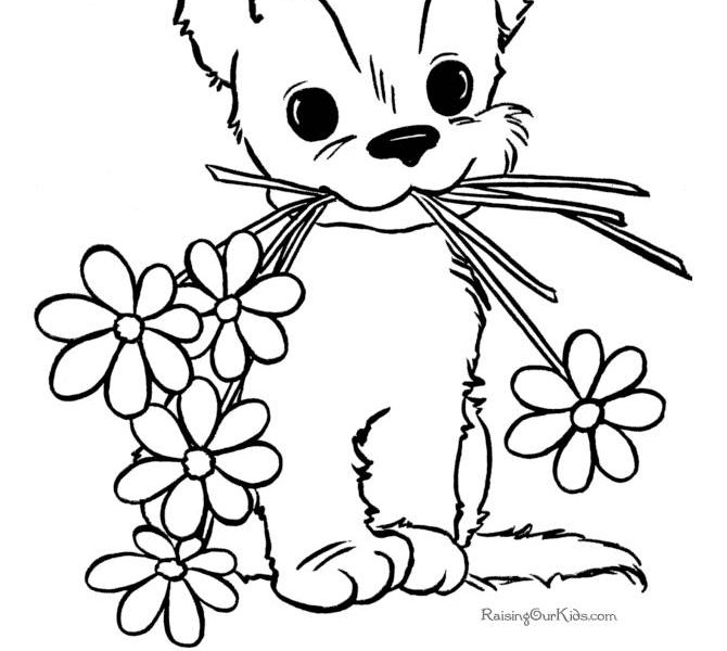 670x600 Drawings For Kids To Colour 1242 Best Templates Images