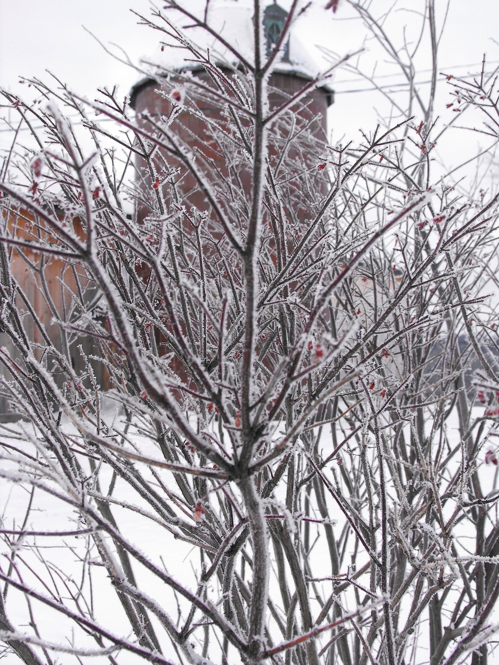 1000x1333 South Pond Farm Stories South Pond Farms