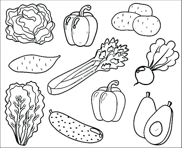 615x499 Fruit Basket Coloring Pages Fruits Coloring Pages Fruit