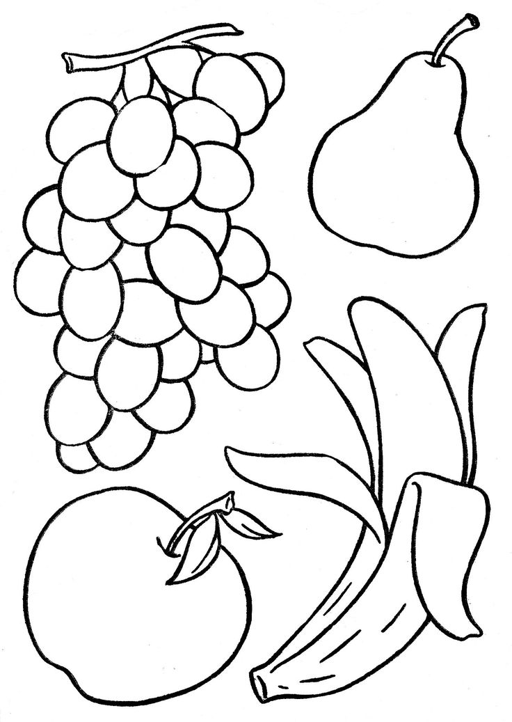 736x1037 Fruit Sketches For Coloring Coloring Pages