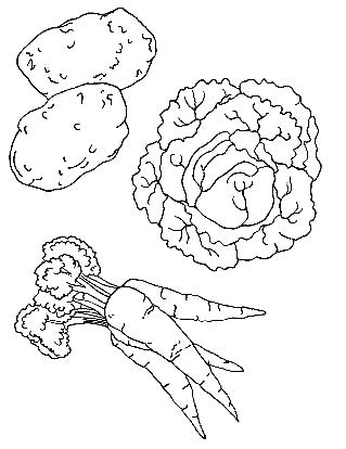 319x414 Fruit And Vegetable Coloring Sheets Fruit And Vegetable Coloring