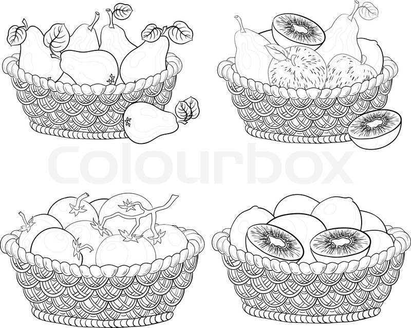 800x638 Basket Drawing Outline