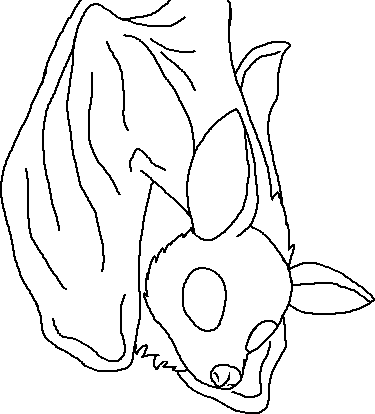 375x414 Fruit Bat Base By Kilathekitty