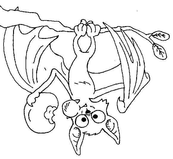 582x536 The Eighth Day Bat Eating A Fruit