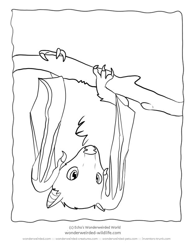 612x792 Bat Coloring Page