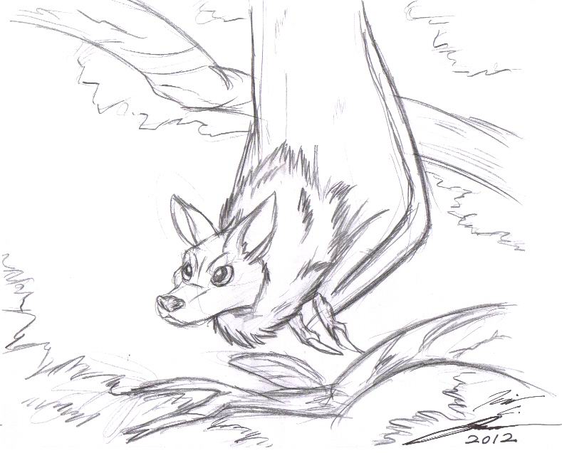 789x637 Bat Sketch By Slasher12