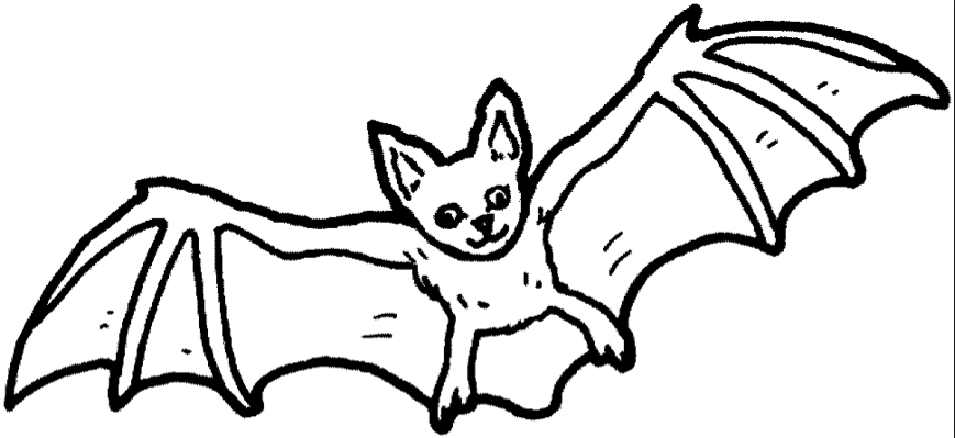869x399 Bat Amp Coloring Book