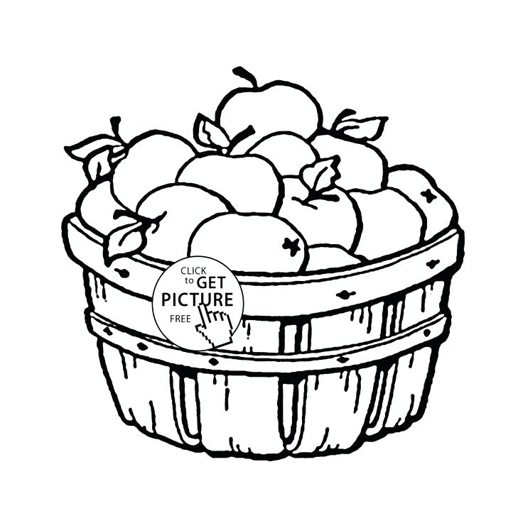 736x737 Fruit Basket Coloring Pages A Basket Of Fruits Drawing Coloring