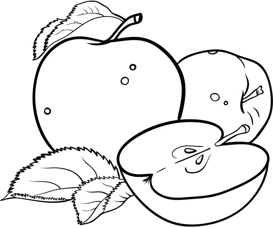 878x734 Free Printable Apple Coloring Pages