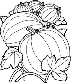 236x276 Fruit Bowl Drawing For Kids Applique Digital Image