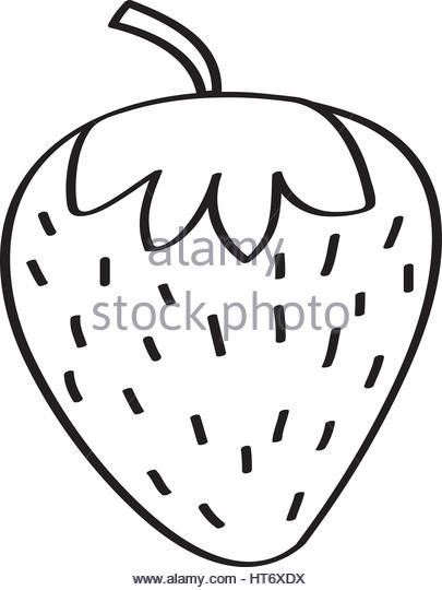 405x540 Strawberry Fresh Fruit Drawing Icon Stock Photos Amp Strawberry