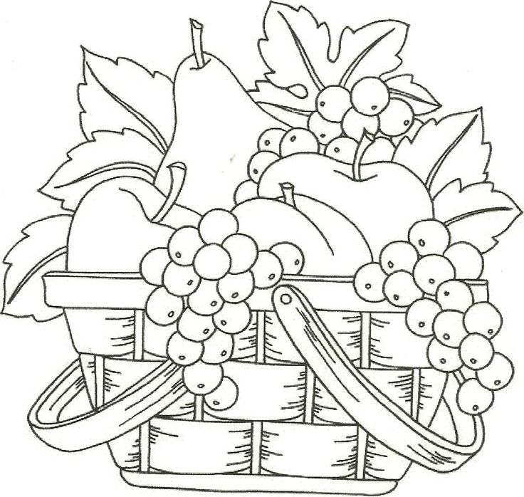736x698 Gallery Basket Of Fruit Drawing,