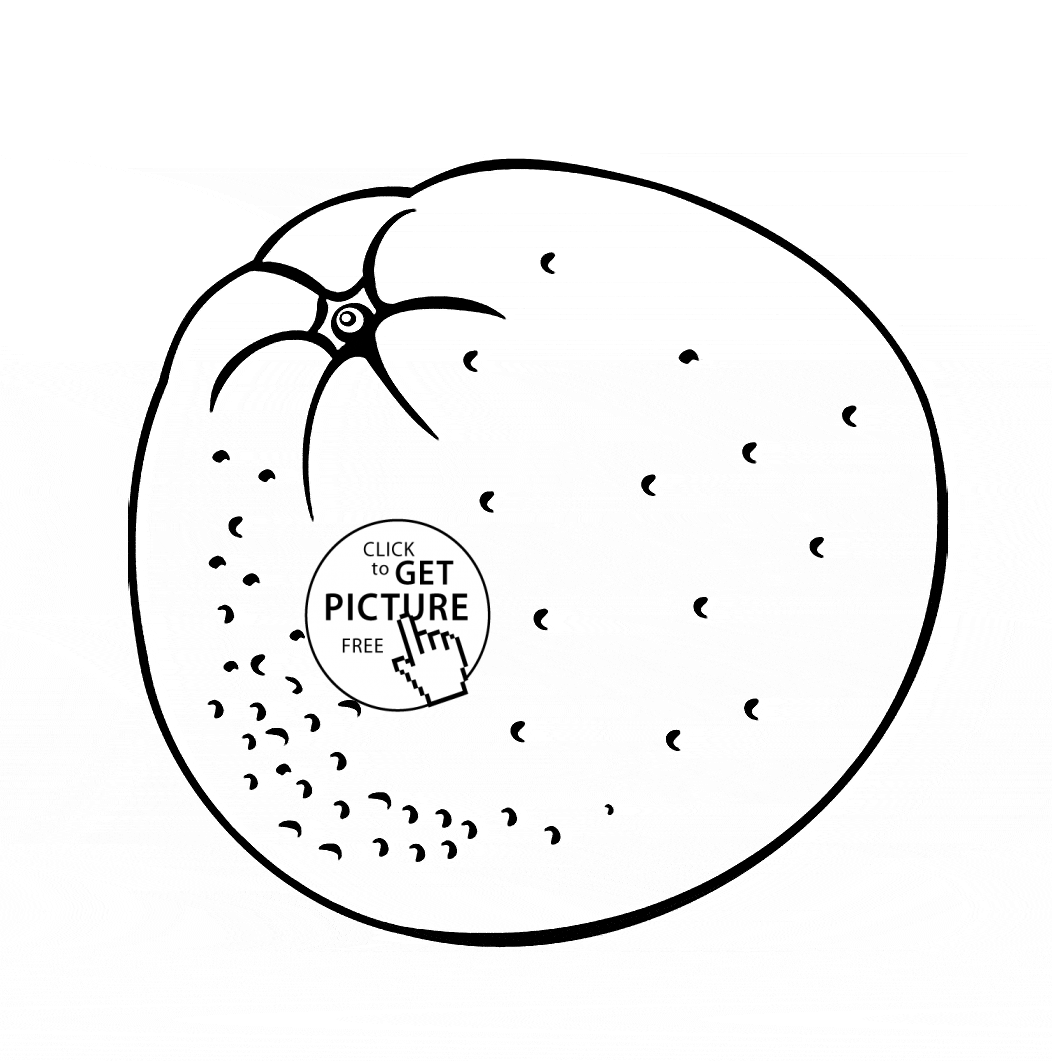 1052x1061 One Big Orange Fruit Coloring Page For Kids, Fruits Coloring Pages