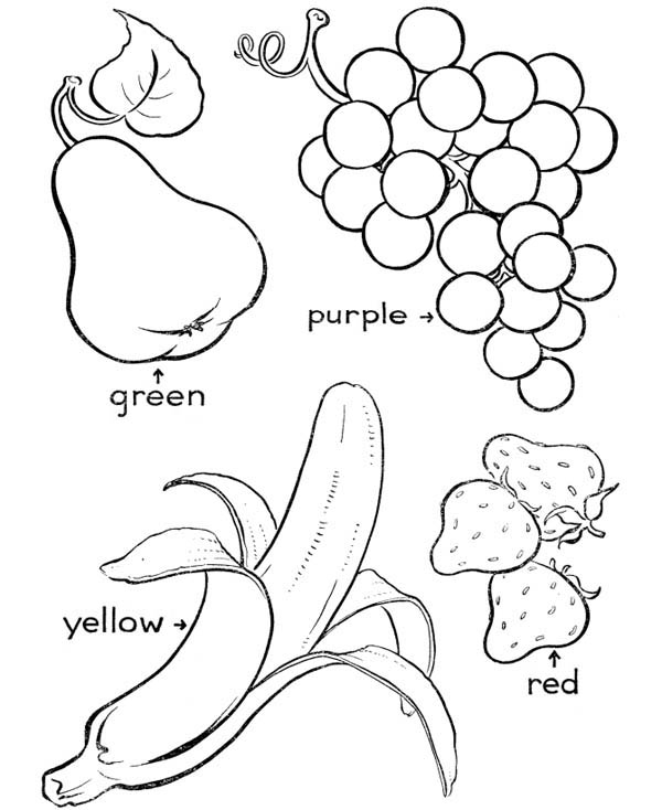 600x734 Various Type Of Fruit Coloring Page