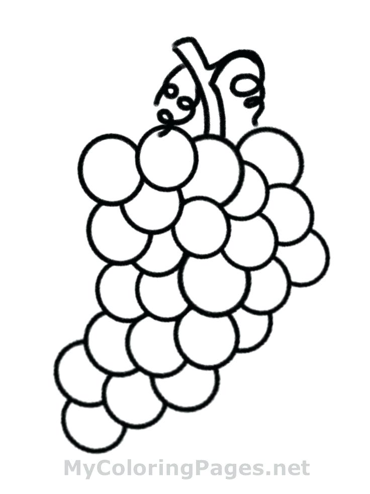 736x981 Extraordinary Enchanting Fruit Drawings To Color Free Download