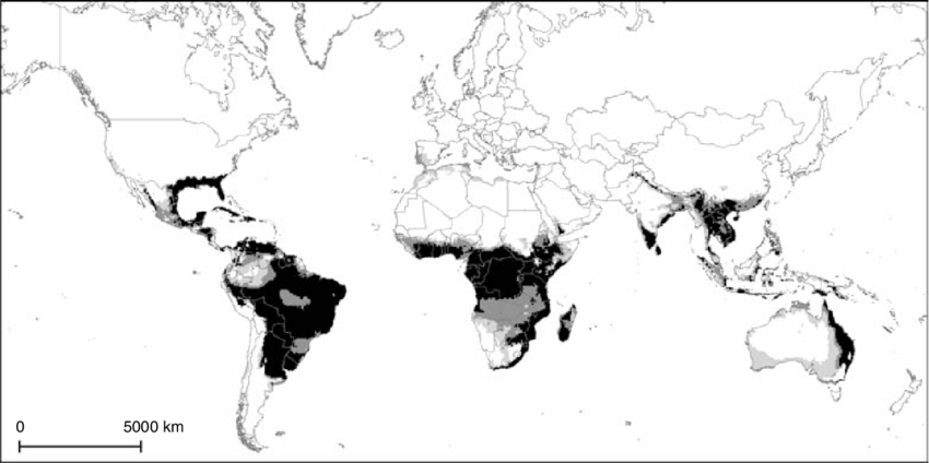 850x424 Climate Suitability (Ei) For Oriental Fruit Fly Under