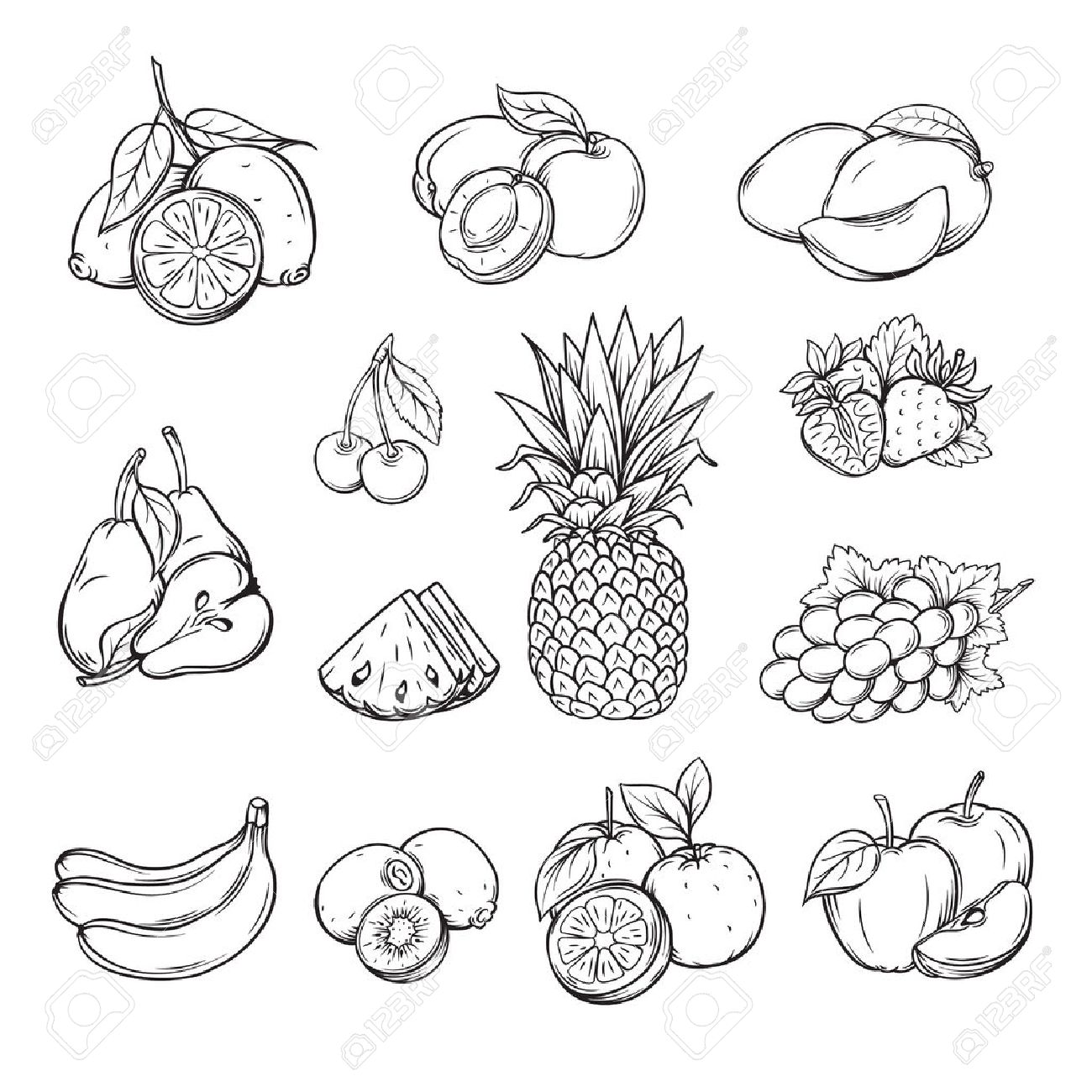 1300x1300 Vector Set Of Different Hand Drawn Fruit , Black Line Isolation